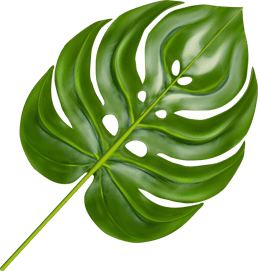 leaf 1 8